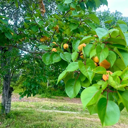 6 Personnes Dans Un Ecrin De Verdure Avec Vue Vakantiehuis Agnac